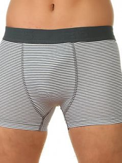 Хлопковые боксеры в мелкую полоску Underwear RT26564